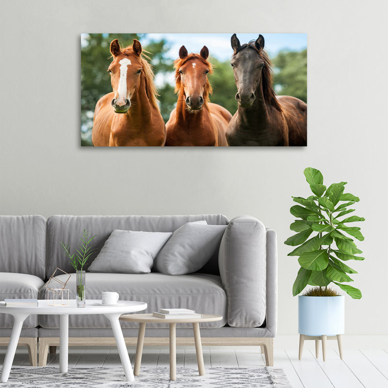 Three Horses - Print, Canvas, 50cm H x 100cm W x 2cm D