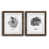 Papier, cadre noyer