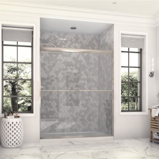Eurolite 55" W x 70.5" H Bypass Frameless Shower Door