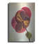 «Lenton Rose II» par Debra Van Swearingen-647332185