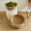 Varney Sg Shallow Baskets W/ Handles