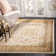 Maggio Performance Oriental Rug