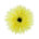 Jaune vif