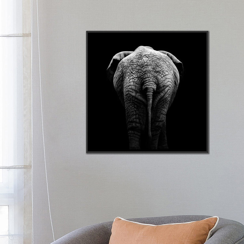 «Elephant II», reproduction de photo sur toile, H 37 po x l 37 po x P 1,5 po, Toile encadrée noire, Pas de tapis