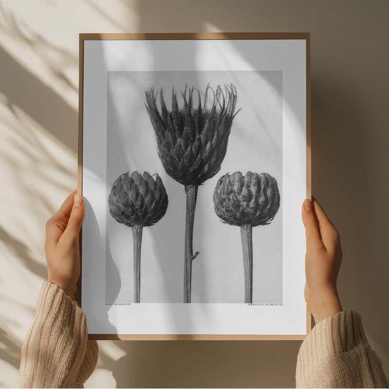 Wrapped Canvas Print, 76.2 cm H x 50.8 cm W