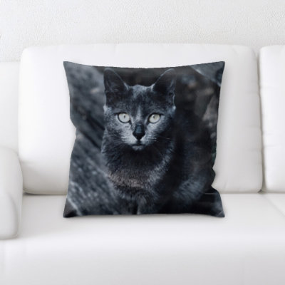Eaman Animal Square Pillow Cover & Insert