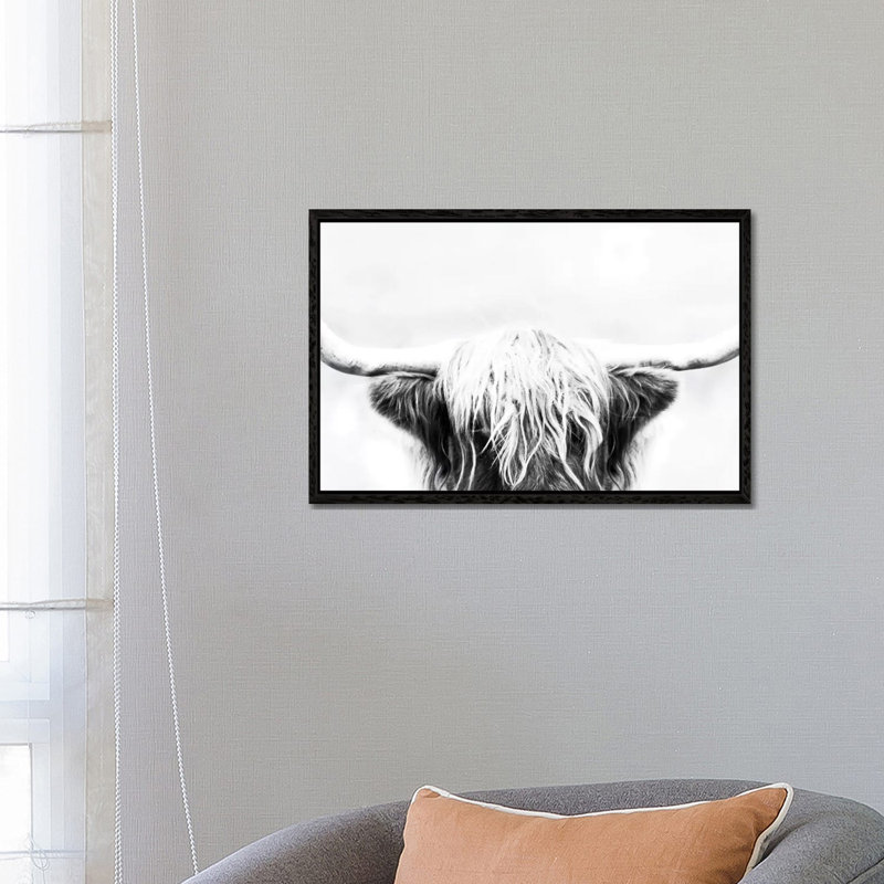 Longhorn by Danita Delimont - Print on Canvas, 45.72cm H x 66.04cm W x 3.81cm D, Black Framed
