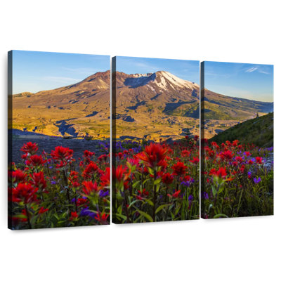 Alvord Mt. St. Helens From Loowit viewpoint
