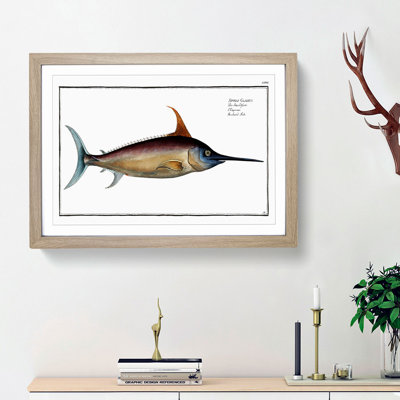 Swordfish - Picture Frame Art Prints