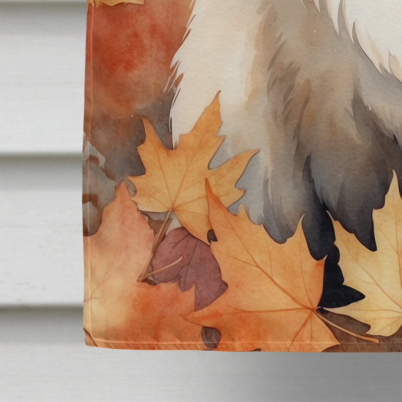 Chat en feuilles d'automne, Himalayen
