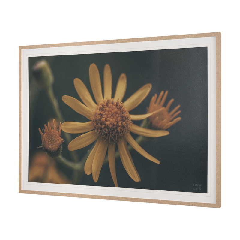 «Wild Blooms I» par Nathan Larson, reproduction d'art encadrée à la main mat sous verre, Fleurs sauvages II
