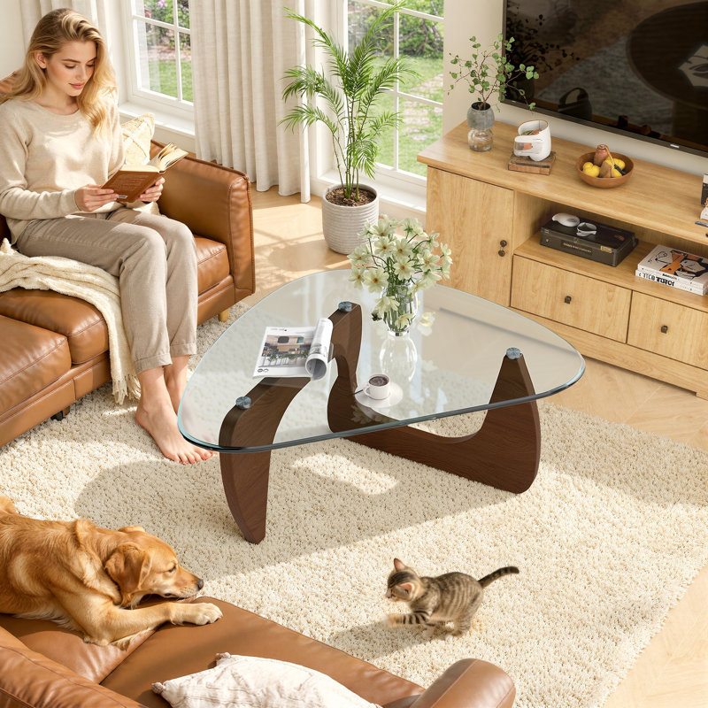 Glass Top, Brown, Clear