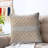 Throw Pillow Square Pillow Cover and Insert-112645889-112646037