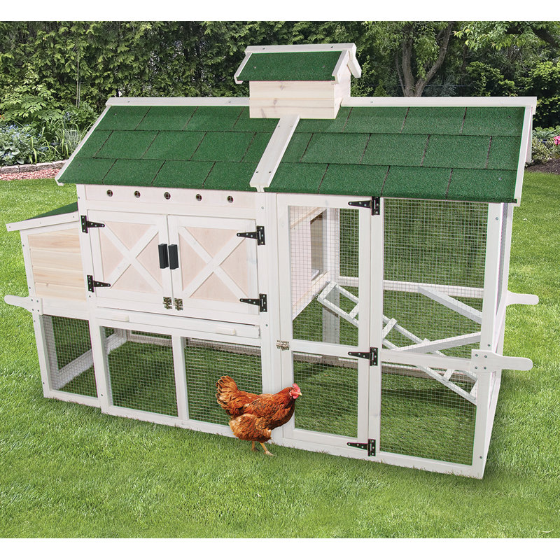 Charitee Chicken Chateau with Chicken Run