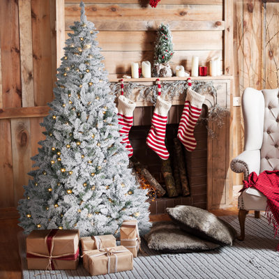 Lighted Pine Christmas Tree
