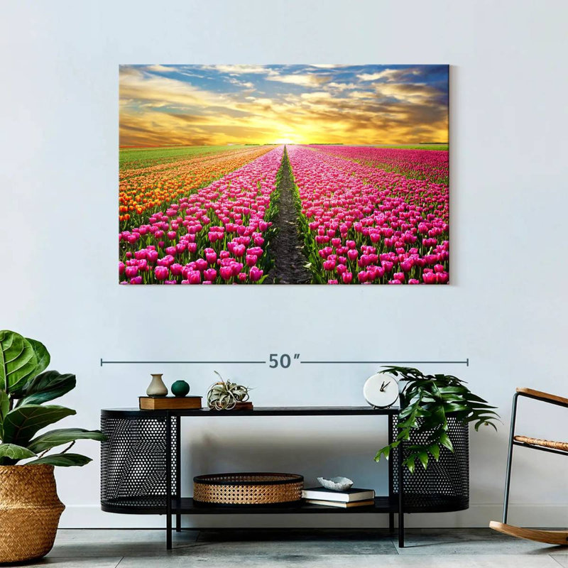 Champ de tulipes, H 30 po x l 45 po