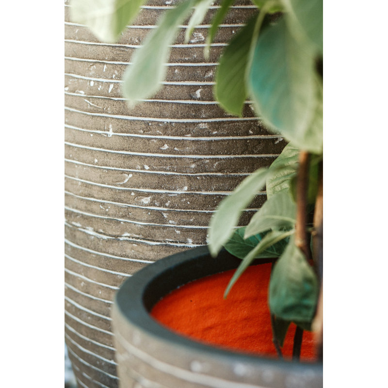 Pot Planter, 41cm H x 43cm W x 41cm D, Green