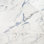 Calacatta Indigo 11.81" x 23.62" Polished Porcelain Floor & Wall Tile