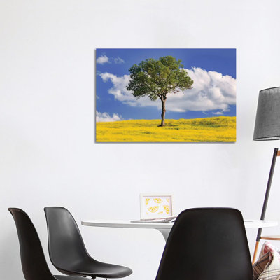 Italy, San Quirico d'Orcia. Tree and farm crop. 1 Piece Wrapped Canvas Wall Art