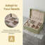 Upholstered Accessory Box +-1602499359
