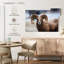 Brampt Bighorn Sheep-106820709