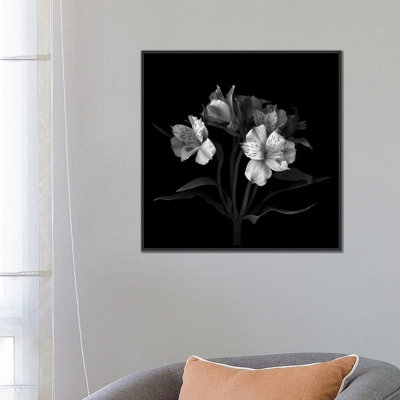 «Alstoemeria VII, B&W» par Magda Indigo, impression sur toile