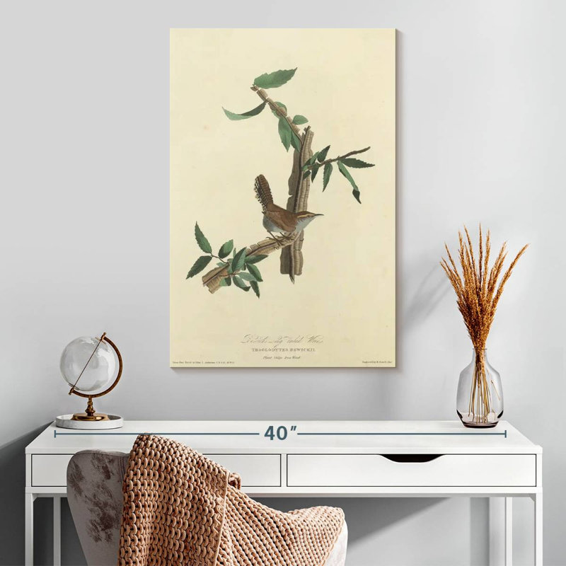 Keiri Bewick's Wren, 30" H x 20" W