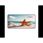 Desk Pad-390957971