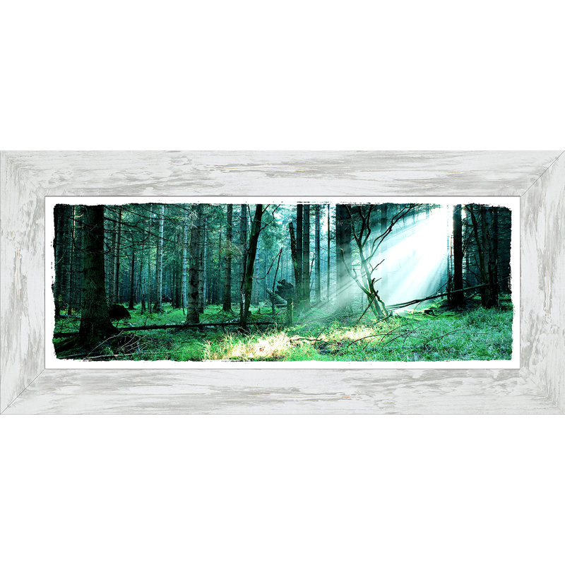Forest Harmony IV - Single Picture Frame Print