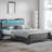 40.79"H Queen Headboard With Charging Station And Led Light