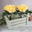 24 tiges de roses artificielles Real Touch, H 11,5 po-380156621