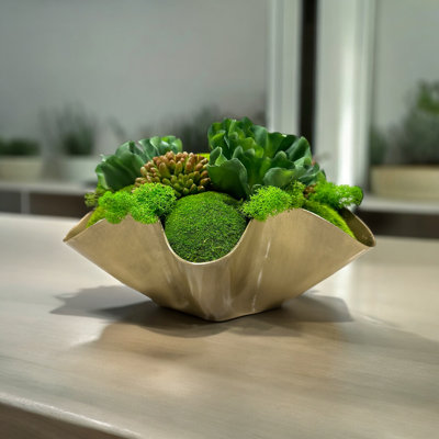 Conception succulente sur un vase en métal ondulé doré | Faux arrangement | Plantes succulentes pour décoration de table