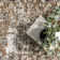 Aagna Distressed Medallion Power Loom Performance Brown/Gray/Ivory Rug