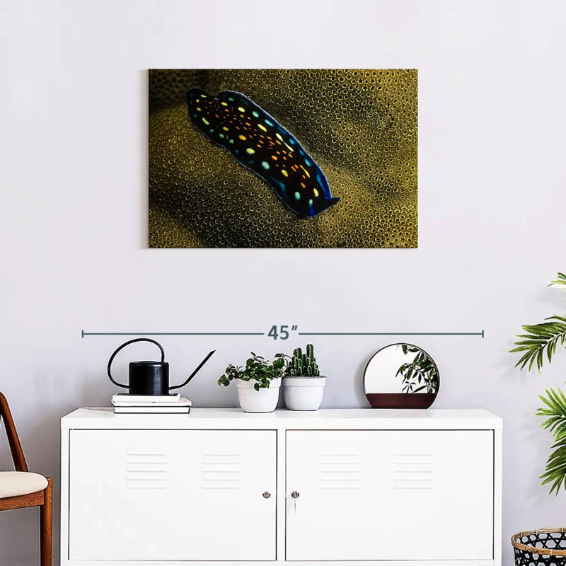 Crowle Linda's Flatworm, 20" H x 30" W