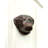 Golden Retriever Door Knocker