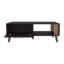 Table basse, 1 porte, 1 tablette