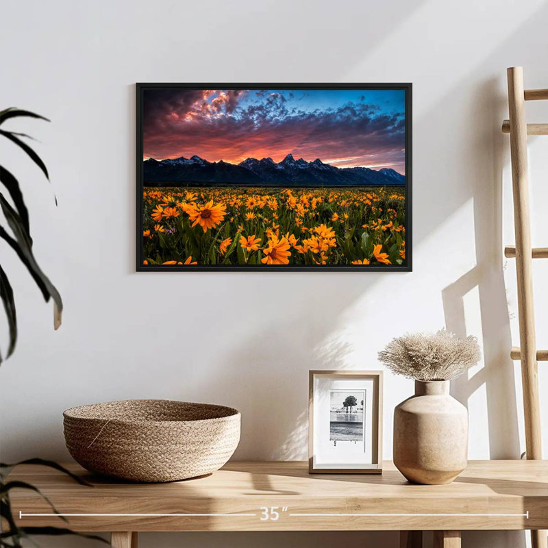 Grand Teton Wildflowers, 19 po x 13 po, Cadre flottant noir