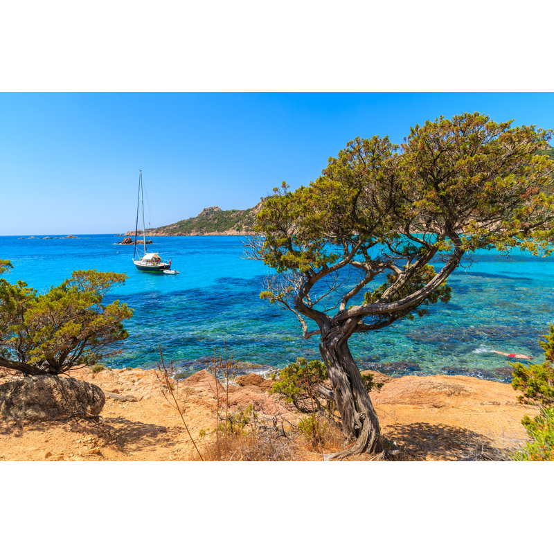 Tree By Sea - Wrapped Canvas Print, 51cm H x 76cm W x 3.8cm D