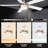 Emryck 52'' Ceiling Fan with LED Lights