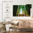 Alvord Curtain Of Light-106322940