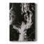 C37 - Cavas de galerie sur mesure-296967458
