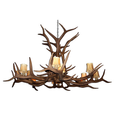 Lustre classique/traditionnel ombré 12 lumières antler elk Murtagh