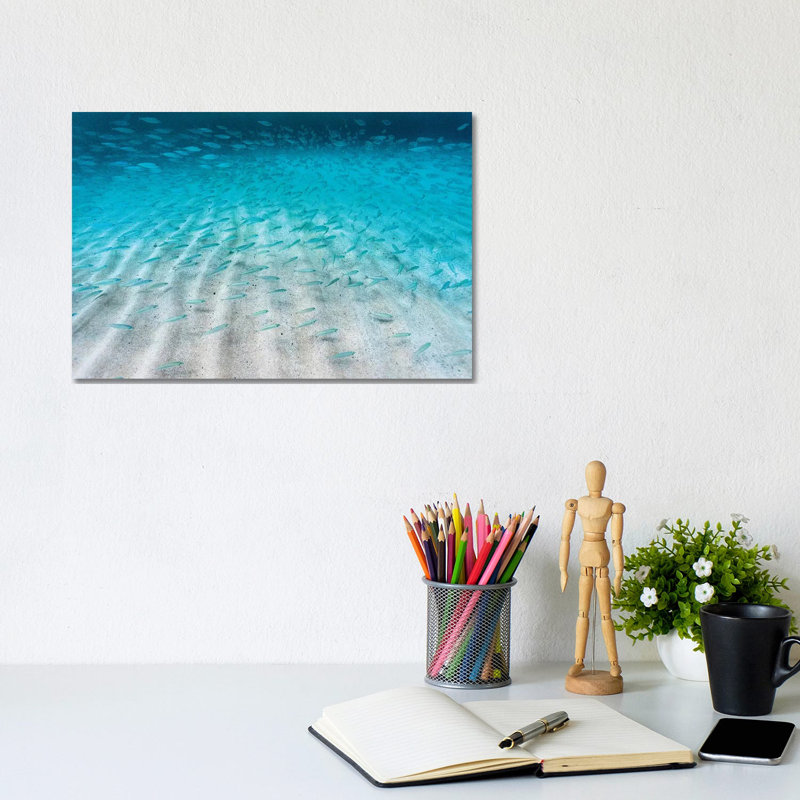 Sand Ripple Fish by Sean Davey - Gallery-Wrapped Canvas Giclée on Canvas, 20.32 cm H x 30.48 cm W, Canvas