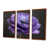 Brown Floater Framed Canvas