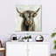 Brun vache Brampt Highland-109231847