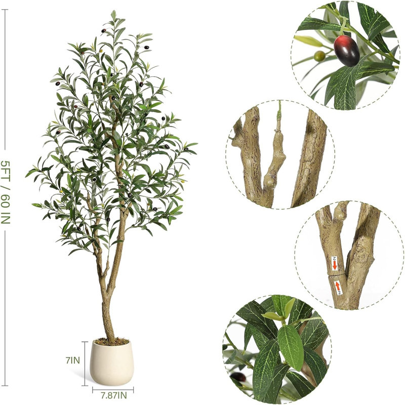 152cm Plant, 1