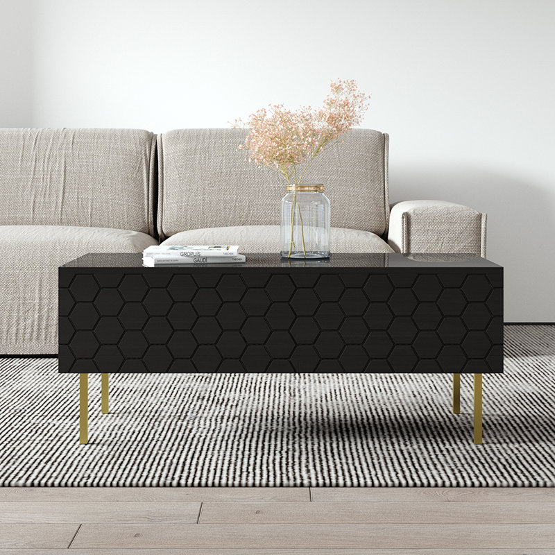 Winchelsea 47.2" Coffee Table with High Gloss Finish, Black, Black/Gold