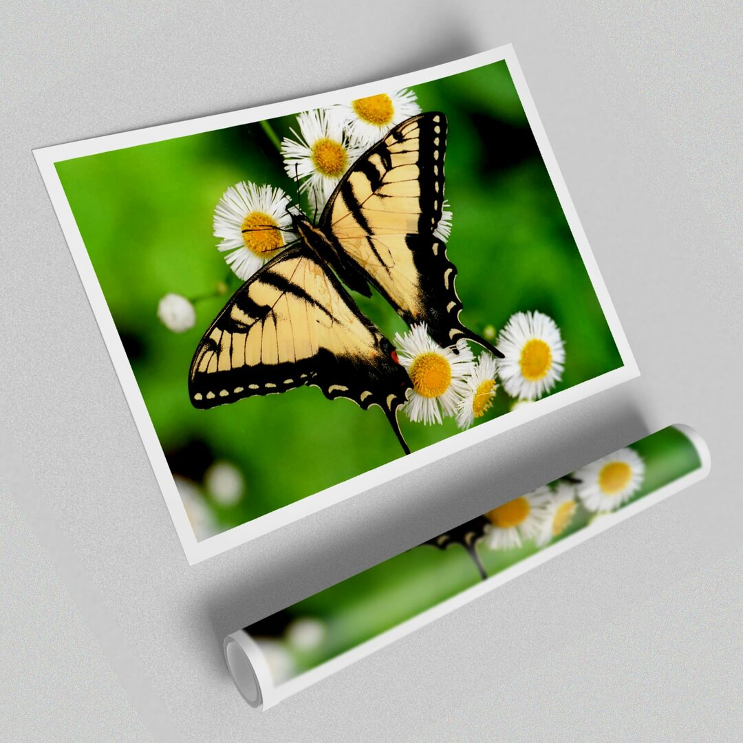 Poster Gelber Schmetterling