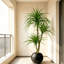 Plantes artificielles réalistes pour la décoration intérieure-514037591