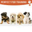 Tapis pour chien réutilisable-72865565